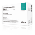 Silisca Matricaria Chamomilla Ampoule Vials (CRP)